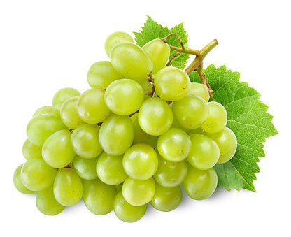 BAUME A LÈVRES ICE CREAM MARTINELIA