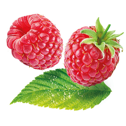 CARAMBAR FRUIT