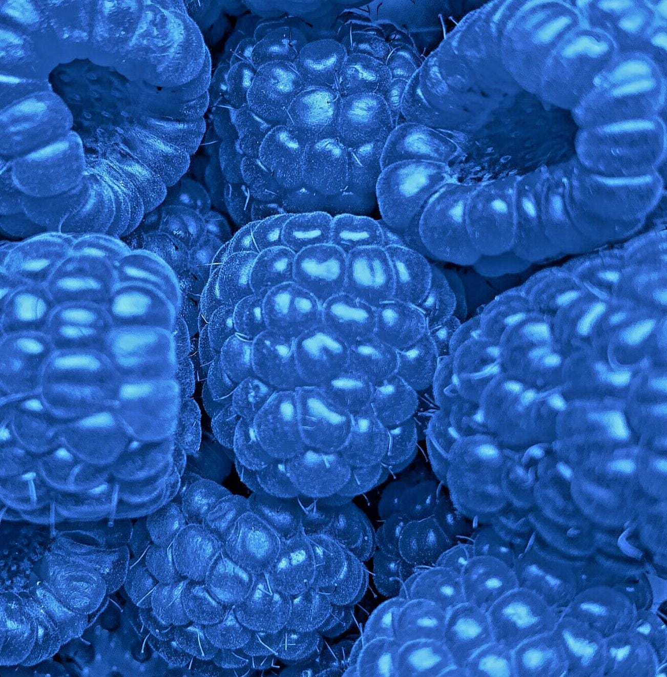 Brain Dipper Funny Candy